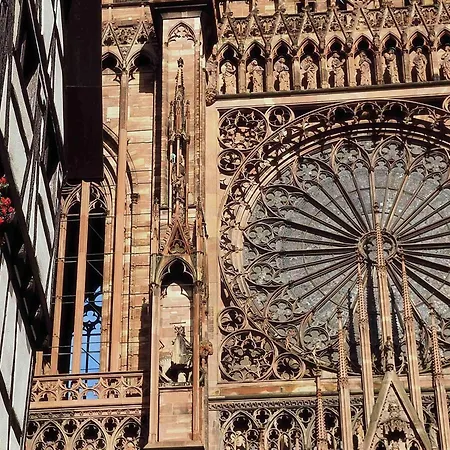 إيبيس بدجت سنتر غار